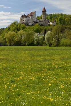 Die imposante Burg Clam an der Donau erhebt sich über einer gelb blühenden Wiese.