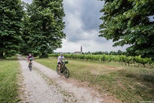 Ein Radlerpaar radelt auf einem schottrigen Radweg an einer Plantage vorbei