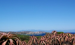Rote Agaven auf der Insel Caprera - im Hintergrund das tiefblaue Meer und der Maddalena-Archipel.