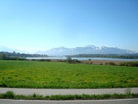 Blick auf einen asphaltierten (Rad-)Weg über Wiesen zum Chiemsee und der einzigartigen Alpenkulisse