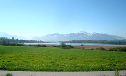 Blick auf einen asphaltierten (Rad-)Weg über Wiesen zum Chiemsee und der einzigartigen Alpenkulisse