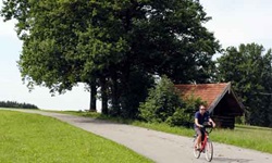 Radfahrer radelt an einem Holzhaus auf einer Wiese mit drei großen Bäumen vorbei
