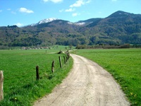 Geschotteter Weg an Wiesen und Weiden vorbei mit Blick zu den Alpen