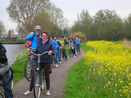 Eine Radlergruppe auf einem Radweg in Holland