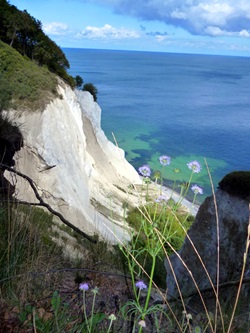 Die bizarren weißen Kreidefelsen der Insel Møn erheben sich über einem herrlich türkis-grünen Meer.