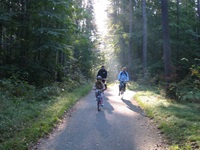 Eine Familie radelt einen Radweg durch den Wald auf der Radreise durch Dänemark