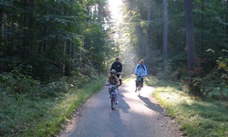 Eine Familie radelt einen Radweg durch den Wald auf der Radreise durch Dänemark