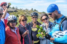 Der Leiter einer Inselhüpfen-Reise in Süddalmatien zeigt seiner aus fünf Frauen und einem Mann bestehenden Gruppe den Zweig eines Erdbeerbaums.