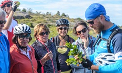 Der Leiter einer Inselhüpfen-Reise in Süddalmatien zeigt seiner aus fünf Frauen und einem Mann bestehenden Gruppe den Zweig eines Erdbeerbaums.