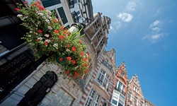 Häuserfassaden am Rathausplatz von Dendermonde.