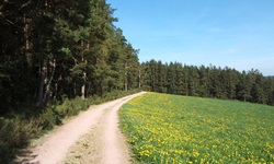 Dunkle Wälder und blühende Wiesen prägen weite Teile der Radstrecke durch den Nordschwarzwald.