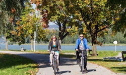 Ein Radlerpärchen auf dem Donauradweg bei Schlögen.