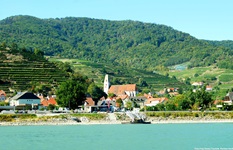 Der idyllisch am Donauufer gelegene Ort Spitz in der Wachau wird malerisch von Weinterrassen eingerahmt.