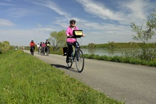 Eine Radlergruppe ist auf dem Donauradweg unterwegs.