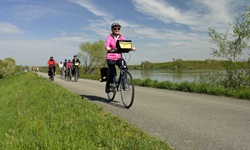 Eine Radlergruppe ist auf dem Donauradweg unterwegs.