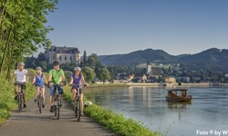 Vier Radler auf dem Donauradweg bei Grein.