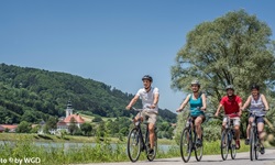 Vier Radler auf dem Donauradweg im Oberen Donautal.