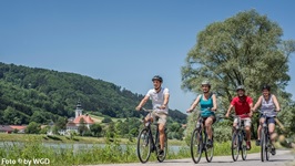Vier Radler auf dem Donauradweg im Oberen Donautal.