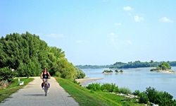 Eine Radlerin auf dem Donauradweg bei Mohács.