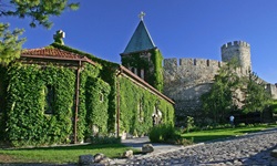 Eine Kirche und eine Festung in Belgrad an der Donau, die mit Efeu bewachsen sind