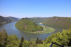 Blick auf die Schlögener Schlinge in Oberösterreich vom Aussichtspunkt aus