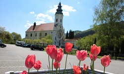 Blick vom Parkplatz auf die Stiftskirche von Engelhartszell an der Donau