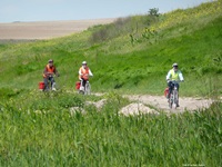 Drei Radler radeln im Donaudelta auf einem holprigen Radweg entlang - links und recht die Frühlingswiesen