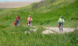 Drei Radler radeln im Donaudelta auf einem holprigen Radweg entlang - links und recht die Frühlingswiesen