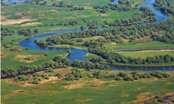 Luftaufnahmen vom Donaudelta - die Donau schlängelt sich durch die grüne Landschaft