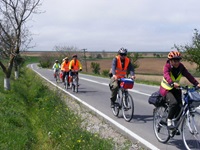 Eine Radlergruppe fährt auf einer Straße