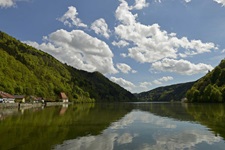 Herrlicher Blick von der MS Normandie auf die Donau und ihre tiefgrün bewaldeten Ufer.