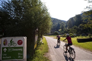 Zwei Radfahrer radeln auf den Donauradweg in Oberösterreich in Richtung Aschach und Linz