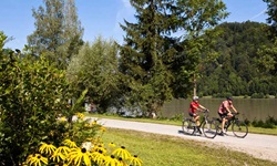 Zwei Fahrradfahrer radeln in Oberösterreich den Donauradweg direkt neben der Donau entlang