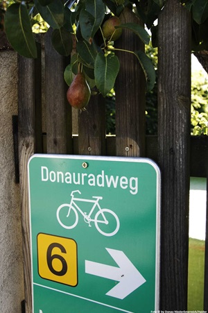 Detailbild eines grünen Schildes vom Donauradweg mit einem Fahrrad und einer in einem gelben abgerundeten Kasten abgebildeten schwarzen 6 sowie einem großen weißen Richtungspfeil
