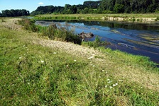 Flusslandschaft der Donau