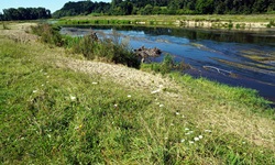 Flusslandschaft der Donau