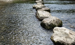 Große Steine in der Donau, die zum Überqueren dienen