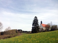 Eine Kapelle mit einer großen Tanne auf einer blühenden Wiese entlang des Donau-Radwegs