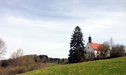 Eine Kapelle mit einer großen Tanne auf einer blühenden Wiese entlang des Donau-Radwegs