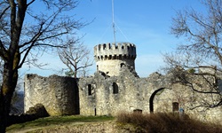Blick auf eine imposante Burgruine entlang der Donau