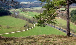 Blick von einem Aussichtspunkt über die Donaulandschaft