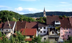 Blick auf aneinandergereihte Häuser einer Stadt an der Donau, bei der der Kirchturm in die Höhe ragt