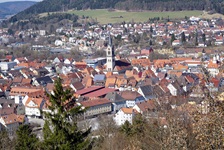 Blick über eine Stadt an der Donau