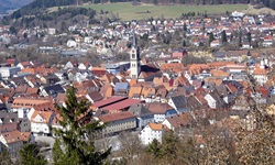 Blick über eine Stadt an der Donau