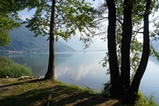 Bäume am Ufer des idyllischen Mezzolasees.