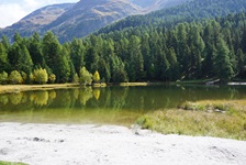 Ein idyllisch von Wäldern umrahmter See bei St. Moritz.