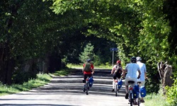 Vier Radler in Masuren in einer wildromantischen, von Ästen überdachten Allee in Masuren.