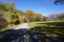 Der von Bäumen gesäumte Rhone-Radweg bei Ulrichen.