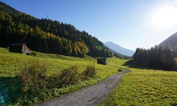 Zwischen Reckingen und Brig schlängelt sich der Rhone-Radweg an saftigen Wiesen und dunkelgrünen Nadelwäldern vorbei.