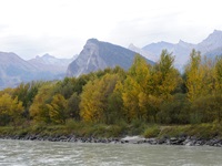Die Rhone zwischen Sion und Riddes.